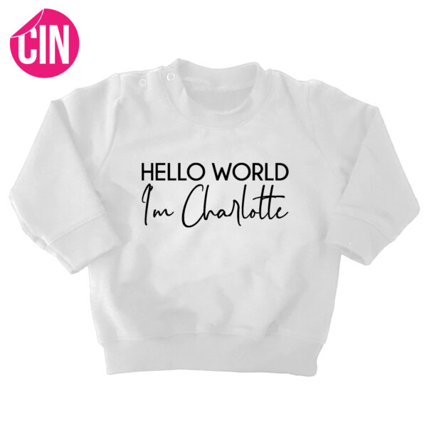 sweater hello world wit